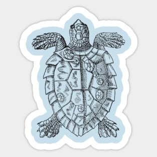 Sea Turtle Sticker